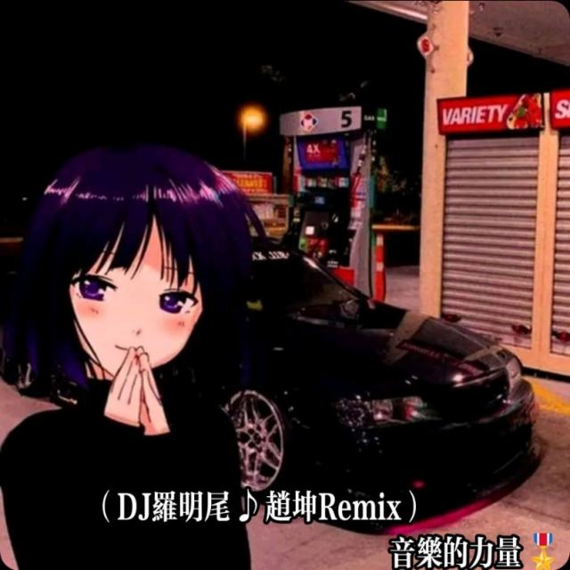 羅明尾♪☃🍒【精品推荐】V88🎖精品国际旋律干声说唱（DJ罗明尾Remix）