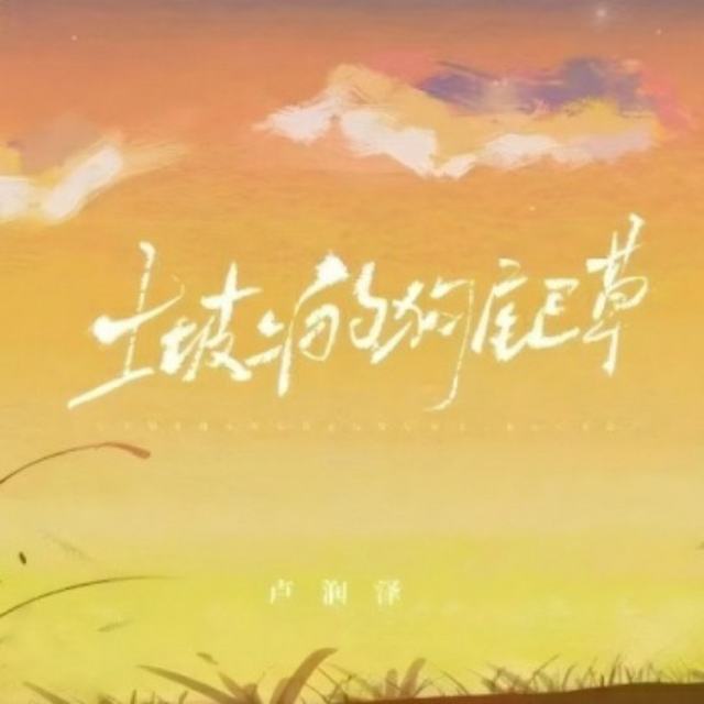 卢润泽 - 土坡上的狗尾草 (臻享DJ版)2025听豪华版歌曲