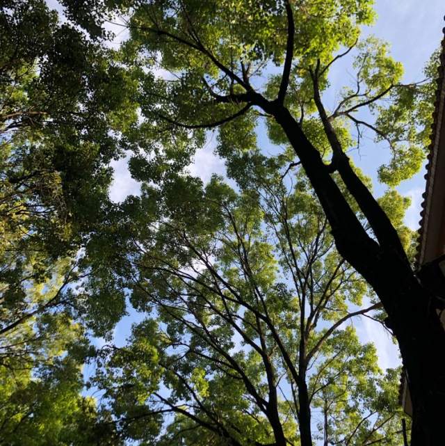 〈传奇-李健〉钟表可以回到原点 但再也不是昨天。