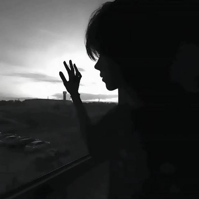 【热门旋律𝘿𝙅】既往不咎太虚伪 我喜欢风水流转.