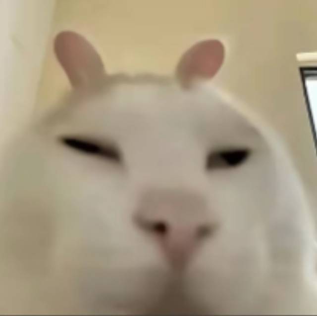 往事只能哈基米