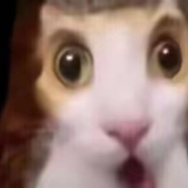 宋冬野 - 斑马，斑马