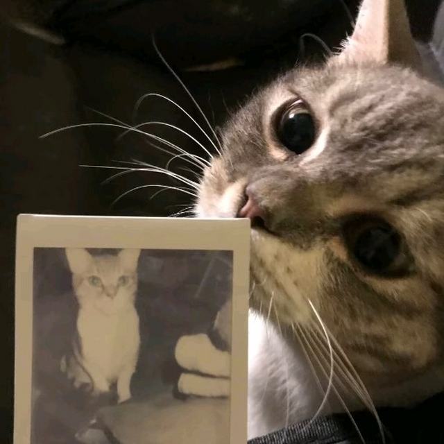 我一直认为我一个人也可以独当一面 直到第一股寒流到来 我开始好奇你怀里的温度