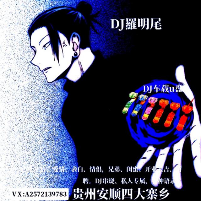 苏婷🎀.——【精品】全中文PH广西科目三 孤独的船 DJ车载音乐 抖音DJ串烧