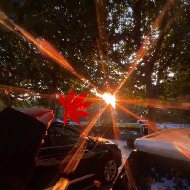 〈一生所爱〉人总是在记忆里刻舟求剑 但时间不是创可贴 想起某个瞬间还是会流泪。