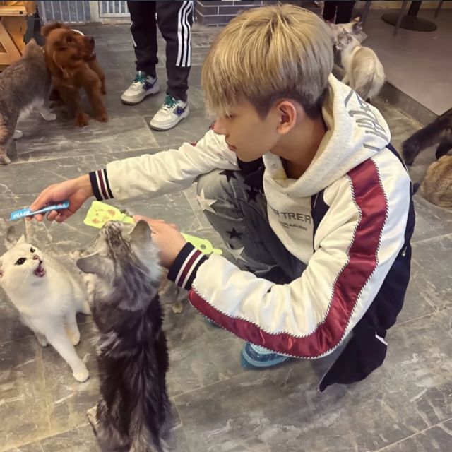 我从来不想要什么道歉和认错 我要我的这颗心 从一开始就没碎过