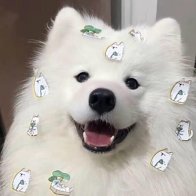 痛苦无法湮灭 唯有谎言永恒