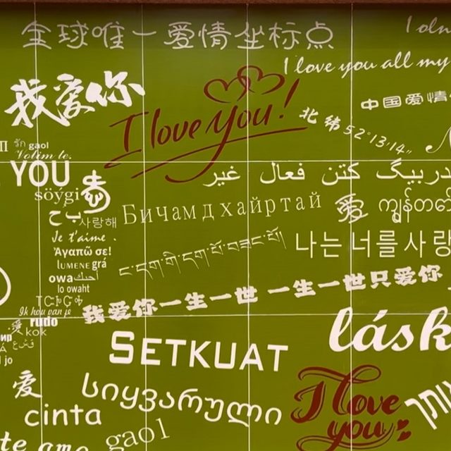 谁家大美人 (抖音版) - 金久哲