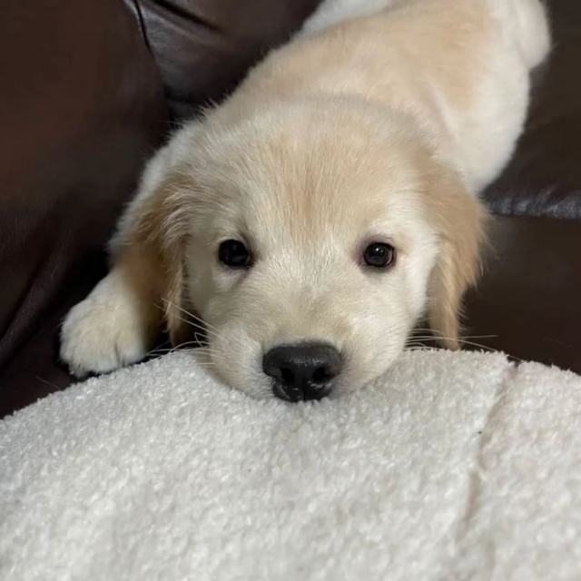 我接受任何人的离开 因为对的人一直在我身边