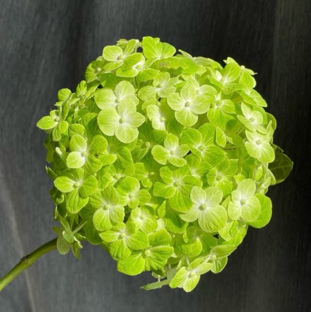 〈（失去才懂）月亮代表思念〉当两人望向同一个月亮 思念便有了形状。