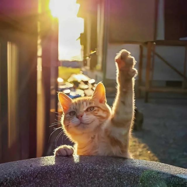 不将就—李荣浩