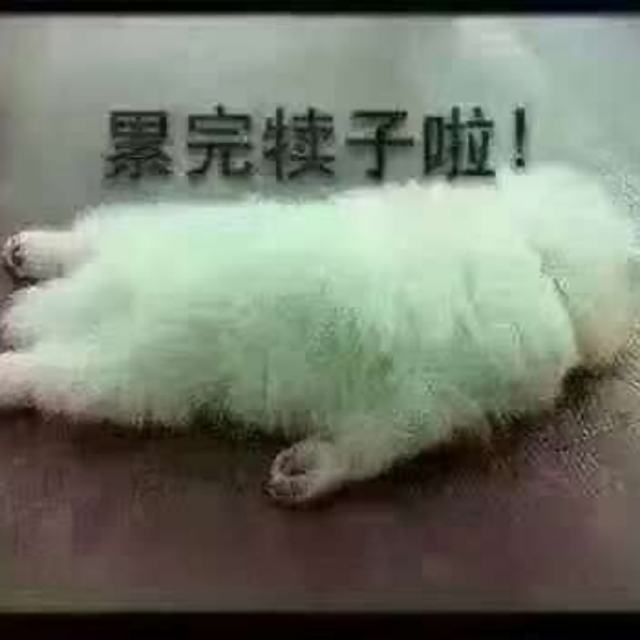 亲爱的老婆我爱你(DJ版)