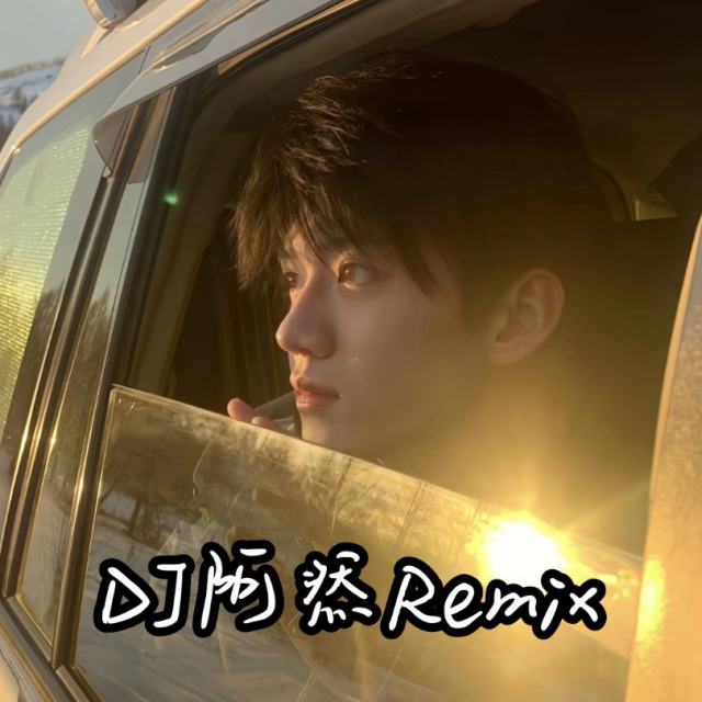 苏毅然🐊.——【精品推荐】情人总分分合合 DJ弹鼓 2024〈DJ阿然Remix〉