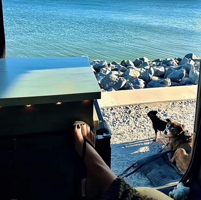 人生如梦一场空dj