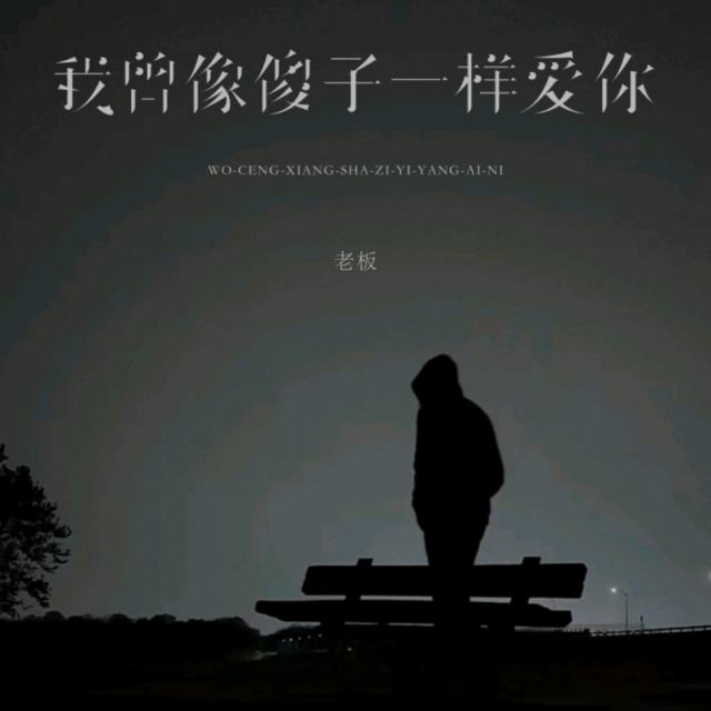 我曾像傻子一样爱你