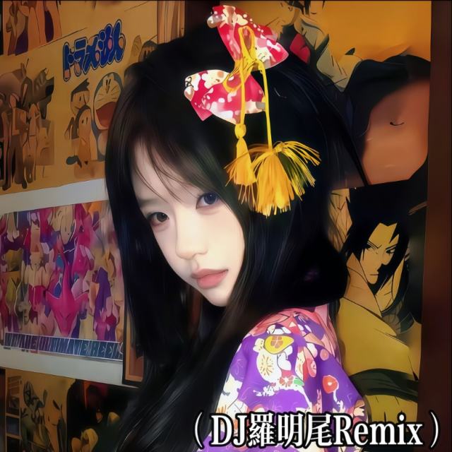 羅明尾❗.——㉿【中文弹鼓】宇西 - 安河桥 车载版（DJ罗明尾Remix）