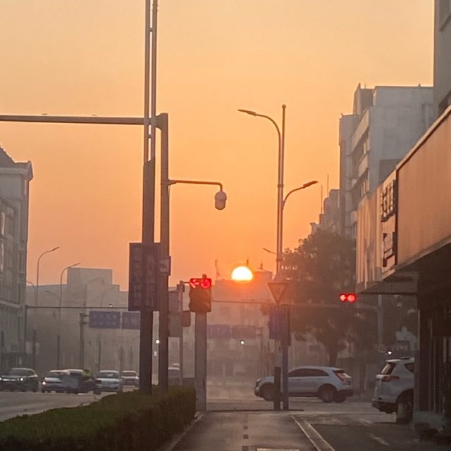 盛夏的果实