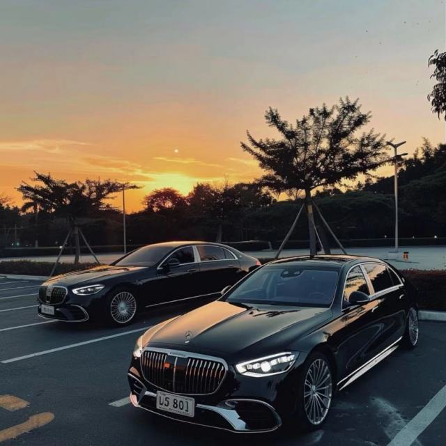 火鸟❗️——【抖音热播】不会被苦难打倒 更不会因为没有掌声就放弃