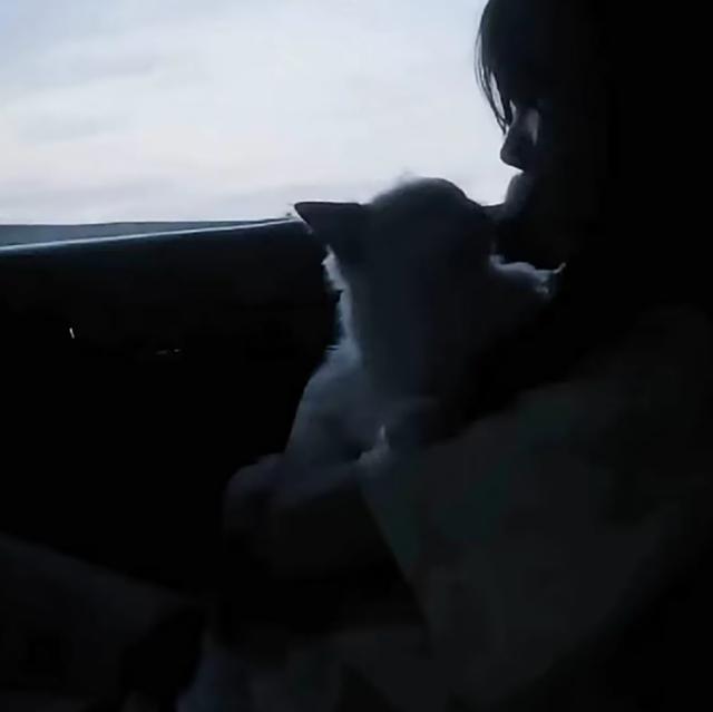 眼眶里栽满莫测的荫蔽爱  我像淋一场辛醉的雨