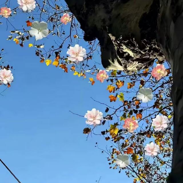 我知道你不爱我 完整版