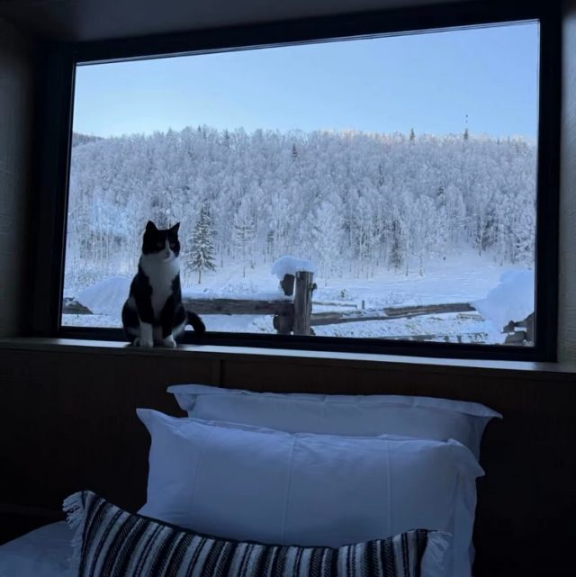 我的叹息 眼泪 都毫无意义