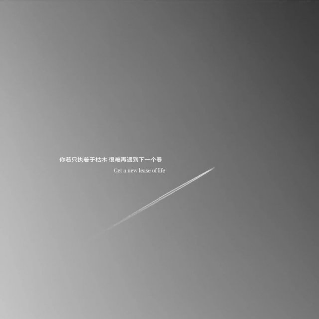 〈陪你看星星+剑来〉“陈平安，你是不是喜欢我？”