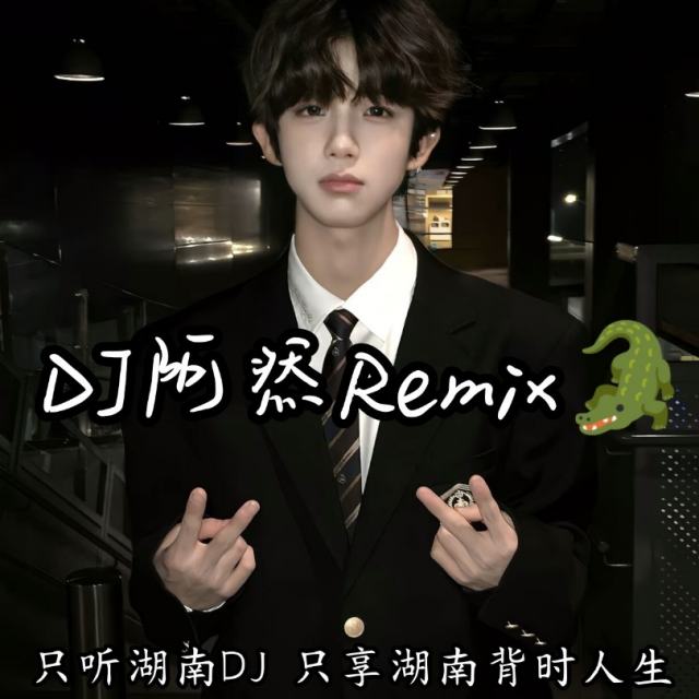 苏毅然🐊.——【精品推荐】我期待的不是雪 2024〈DJ阿然Remix〉