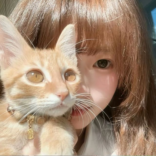 《娃娃脸-DJ版》