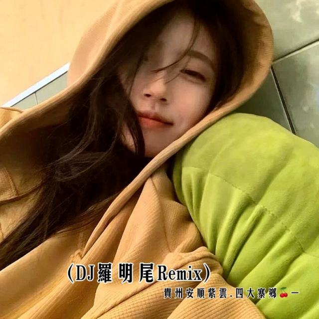 苏婷🎀.——【抖音热播】别安-长城（DJ版）_