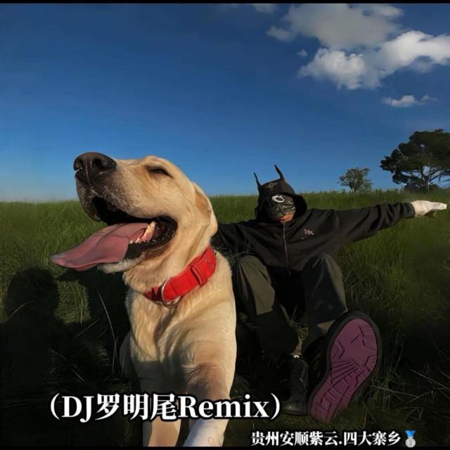 羅明尾🌊🍒——【车载古风中文】莫问归期 辞九门回忆 0.9X（DJ罗明尾Remix）