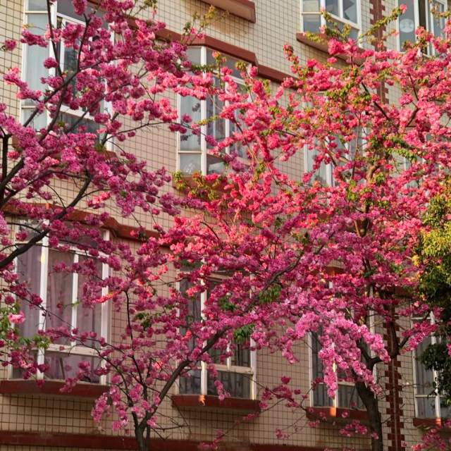 〈我从草原来〉时间不会停留过去 走的每一步都是在跟过去告别。