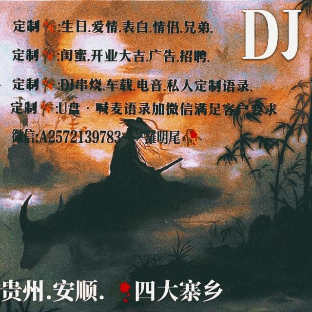 苏婷🎀——.【旋律混搭】你若安好 便是晴天 DJ抖音版