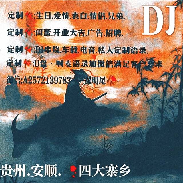 苏婷❗——.【 DJ串烧 20234抖音热播】
