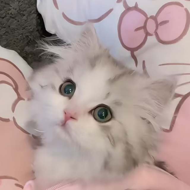 邵雨涵-快乐阿拉蕾(DJ MC阿永版)-快手版完整流畅-完美无缺音质