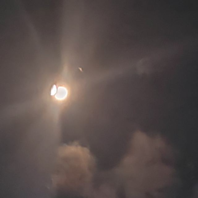 茶花开了-王睿卓谨慎设置-（怕你设置后，半夜接到白事电话止不住的哭）