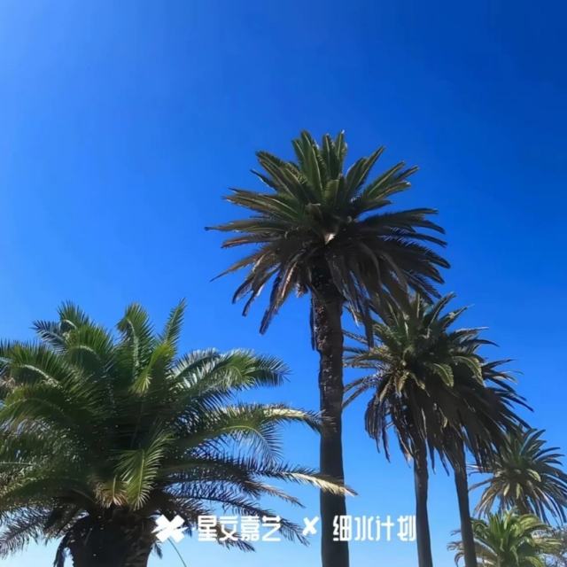M爷ᵐ☠️_【电音 ➳纯旋】未完成的诗页