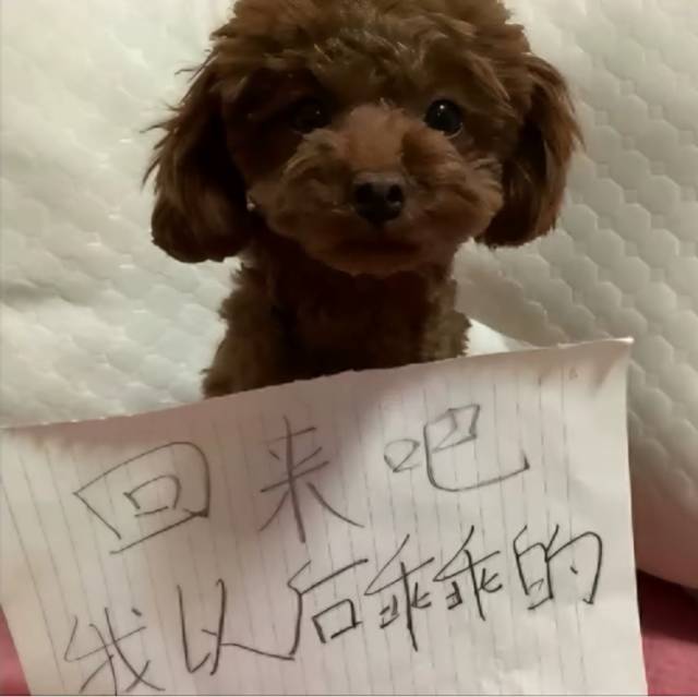 过好当下